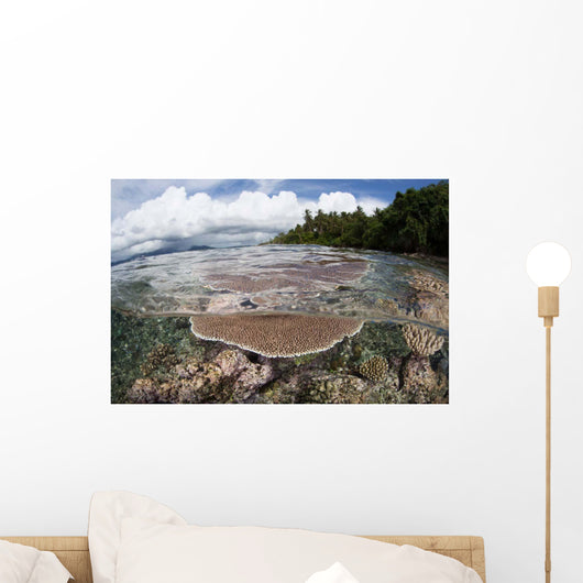 Reef-building Corals Grow Reef Wall Decal Design 1