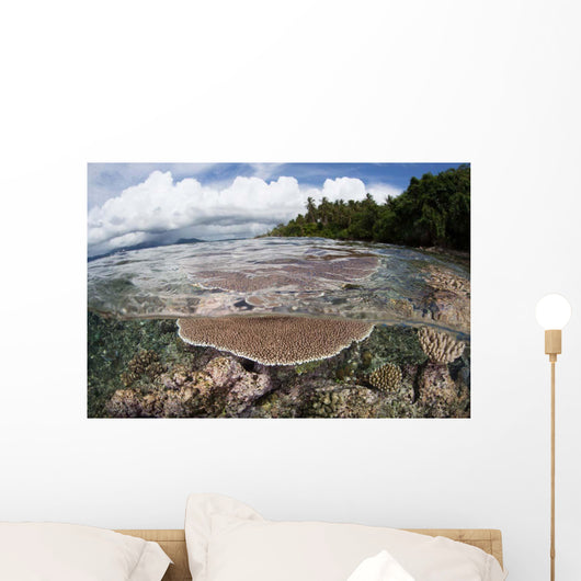 Reef-building Corals Grow Reef Wall Decal Design 1
