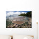 Reef-building Corals Grow Reef Wall Decal Design 1