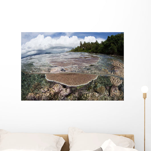 Reef-building Corals Grow Reef Wall Decal Design 1