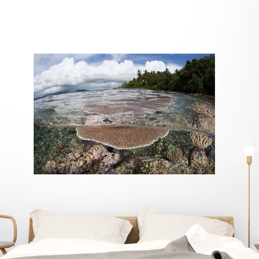 Reef-building Corals Grow Reef Wall Decal Design 1