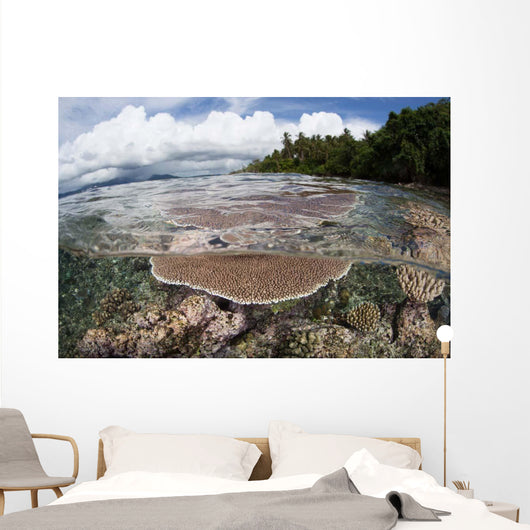 Reef-building Corals Grow Reef Wall Decal Design 1