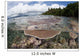 Reef-building Corals Grow Reef Wall Decal Design 1