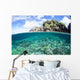 Beautiful Coral Reef Grows Wall Decal Design 4