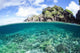 Beautiful Coral Reef Grows Wall Decal Design 4