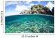 Beautiful Coral Reef Grows Wall Decal Design 4