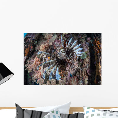 Lionfish Swims Colorful Reef Wall Decal Design 2 shown on a wall
