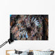 Lionfish Swims Colorful Reef Wall Decal Design 2