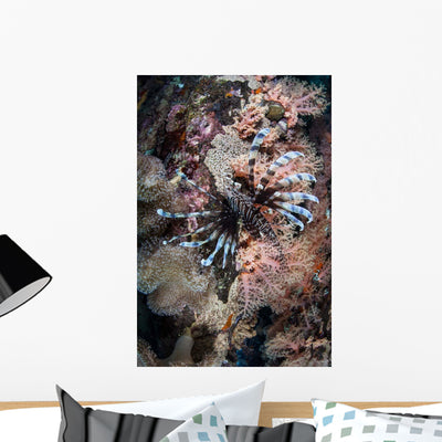 Lionfish Swims Colorful Reef Wall Decal Design 1 shown on a wall