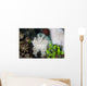 Pygmy Cuttlefish among Corals Wall Decal