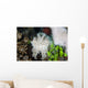 Pygmy Cuttlefish among Corals Wall Decal