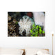 Pygmy Cuttlefish among Corals Wall Decal