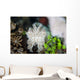 Pygmy Cuttlefish among Corals Wall Decal