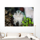 Pygmy Cuttlefish among Corals Wall Decal