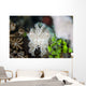 Pygmy Cuttlefish among Corals Wall Decal