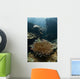 Heliofungia Coral Colony Grows Wall Decal