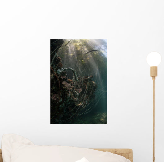 Sunlight Descends Underwater and Wall Decal Design 2