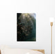 Sunlight Descends Underwater and Wall Decal Design 2