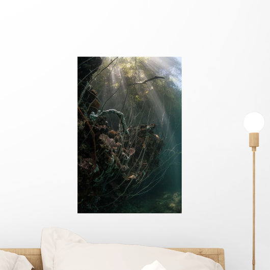 Sunlight Descends Underwater and Wall Decal Design 2