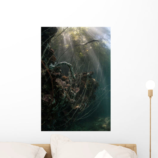 Sunlight Descends Underwater and Wall Decal Design 2