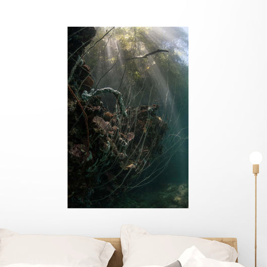 Sunlight Descends Underwater and Wall Decal Design 2