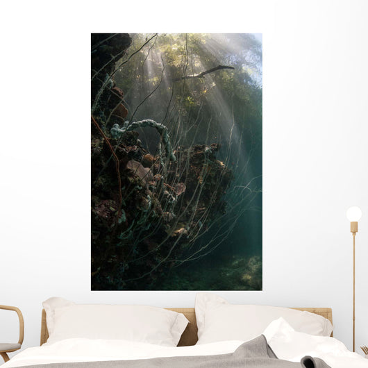 Sunlight Descends Underwater and Wall Decal Design 2