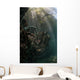 Sunlight Descends Underwater and Wall Decal Design 2