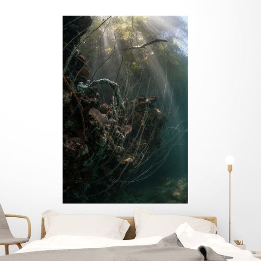 Sunlight Descends Underwater and Wall Decal Design 2