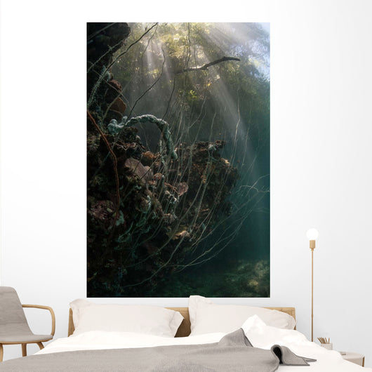 Sunlight Descends Underwater and Wall Decal Design 2