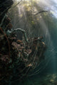 Sunlight Descends Underwater and Wall Decal Design 2