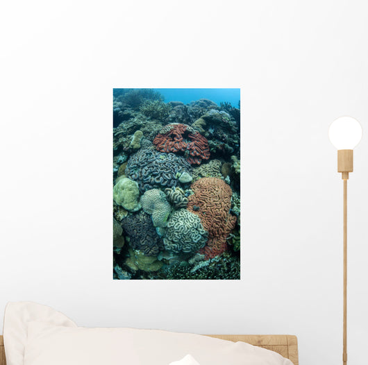 Colorful Reef-building Corals Grow Wall Decal Design 1