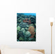 Colorful Reef-building Corals Grow Wall Decal Design 1