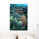Colorful Reef-building Corals Grow Wall Decal Design 1
