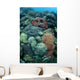 Colorful Reef-building Corals Grow Wall Decal Design 1