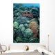 Colorful Reef-building Corals Grow Wall Decal Design 1