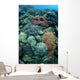 Colorful Reef-building Corals Grow Wall Decal Design 1