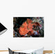 Well-camouflaged Frogfish Waits to Wall Decal Design 3