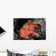 Well-camouflaged Frogfish Waits to Wall Decal Design 3
