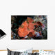 Well-camouflaged Frogfish Waits to Wall Decal Design 3
