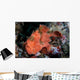Well-camouflaged Frogfish Waits to Wall Decal Design 3