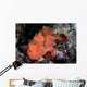 Well-camouflaged Frogfish Waits to Wall Decal Design 3