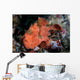 Well-camouflaged Frogfish Waits to Wall Decal Design 3