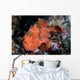 Well-camouflaged Frogfish Waits to Wall Decal Design 3