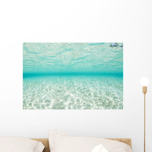Bright Sunlight Dances across Wall Decal Design 2