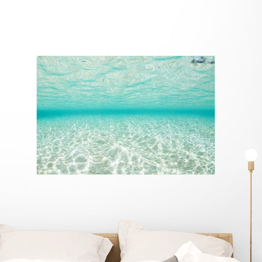 Bright Sunlight Dances across Wall Decal Design 2