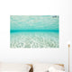 Bright Sunlight Dances across Wall Decal Design 2