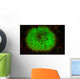 Mushroom Coral Fluoresces as Wall Decal