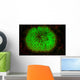 Mushroom Coral Fluoresces as Wall Decal