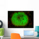 Mushroom Coral Fluoresces as Wall Decal
