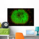 Mushroom Coral Fluoresces as Wall Decal